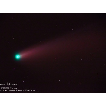 Cometa C2020 f3 Neowise
